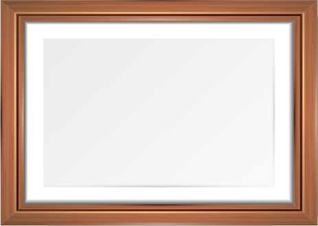 榮譽(yù)資質(zhì)